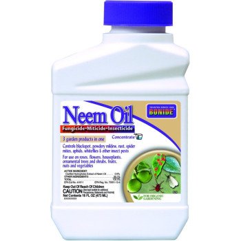 Bonide Captain Jack's 024 Neem Oil, Liquid, 1 pt