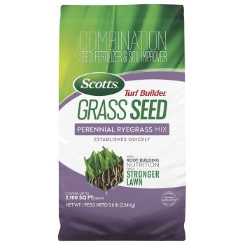 Scotts Turf Builder 18039 4-0-0 Grass Seed, Perennial Ryegrass, 5.6 lb Bag