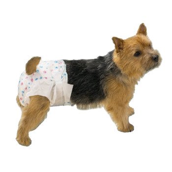 ClearQuest US948 08 Disposable Doggy Diaper