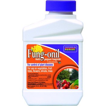 Bonide Fung-onil 880 Fungicide, Liquid, Minimal, White, 1 pt